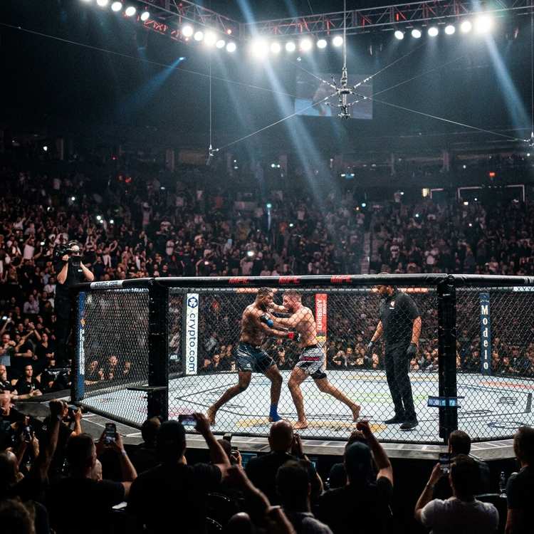 UFC Gevechten
